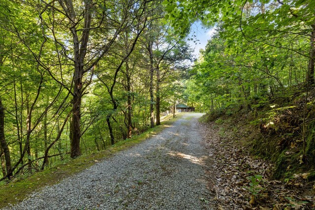 3530 Needles Way, Sevierville, TN 37876 - photo 7