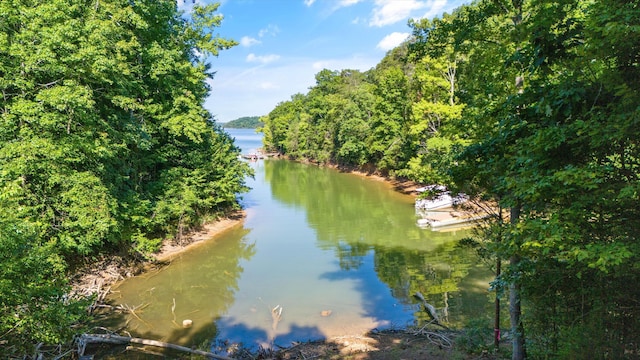 3530 Needles Way, Sevierville, TN 37876 - photo 34
