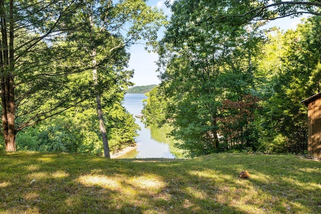 3530 Needles Way, Sevierville, TN 37876 - photo 1