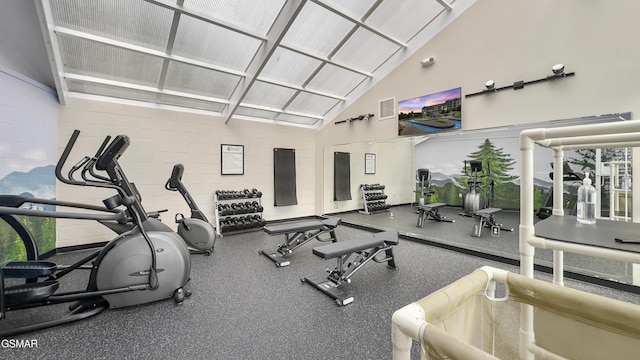 205 Ogle Dr Unit 614, Pigeon Forge, TN 37863 - gym featuring a towering ceiling
