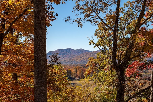 mountain view featuring a forest view