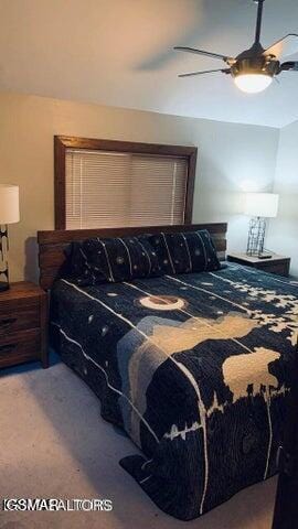 1228 Ski Mountain Rd Unit 5, Gatlinburg, TN 37738 - bedroom featuring ceiling fan
