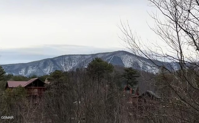 4160 Chamberlain Ln, Sevierville, TN 37862 - photo 2