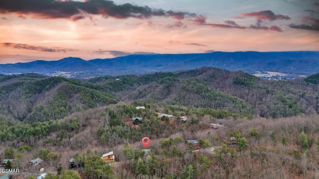 4160 Chamberlain Ln, Sevierville, TN 37862 - photo 45