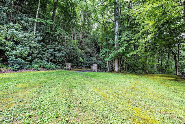 120 Baxter Rd, Cosby, TN 37722 - photo 37