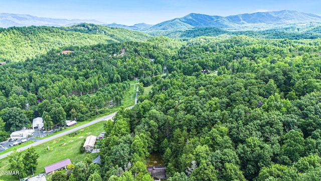 120 Baxter Rd, Cosby, TN 37722 - photo 38