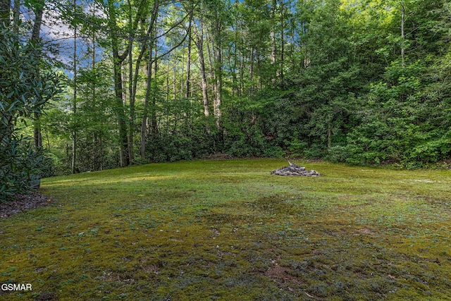 120 Baxter Rd, Cosby, TN 37722 - photo 35
