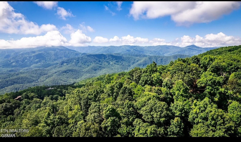 LOT10 Saint Moritz, Gatlinburg, TN 37738 - photo 2