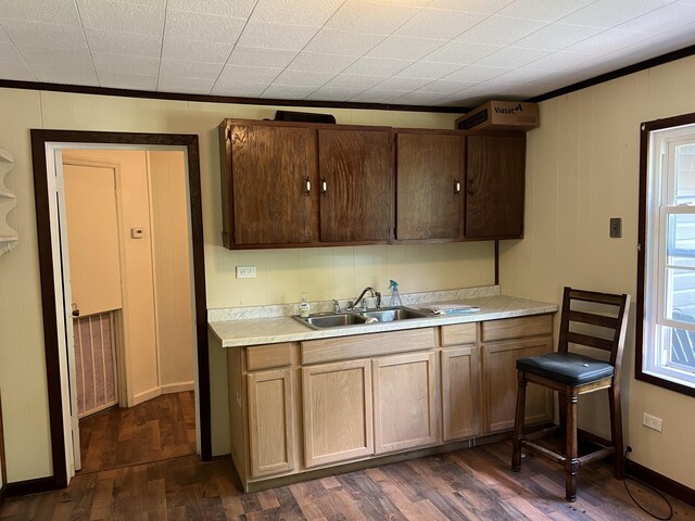 kitchen featuring crown molding, dark hardwood / wood-style flooring, and sink