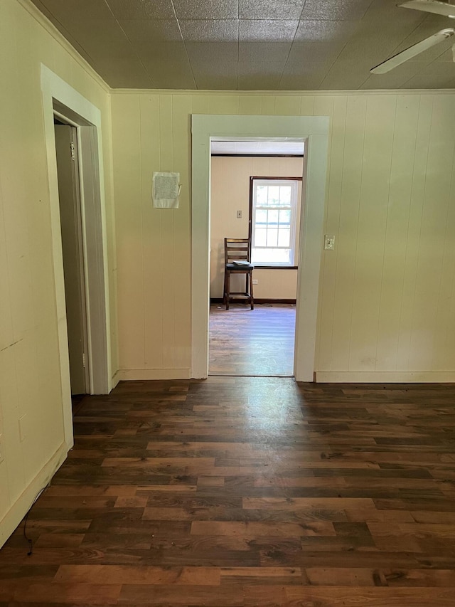 hall featuring dark hardwood / wood-style flooring and wood walls