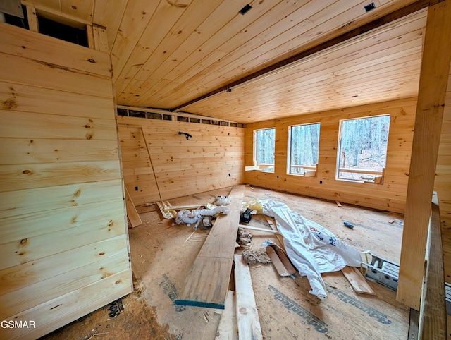 additional living space with wood walls