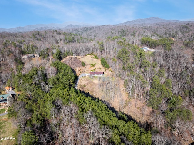 4323 Boogertown Rd, Sevierville, TN 37876 - birds eye view of property with a mountain view and a view of trees