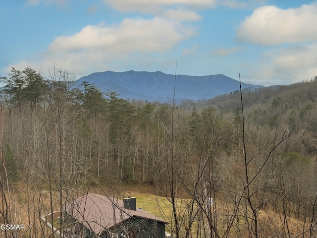4323 Boogertown Rd, Sevierville, TN 37876 - property view of mountains featuring a forest view