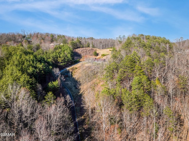 4323 Boogertown Rd, Sevierville, TN 37876 - bird's eye view featuring a forest view