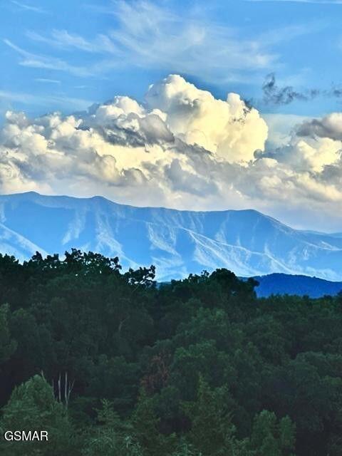 mountain view with a view of trees