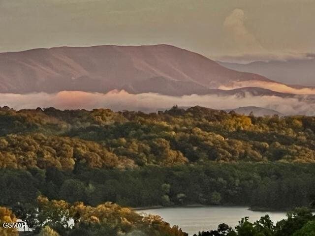 mountain view with a water view and a wooded view