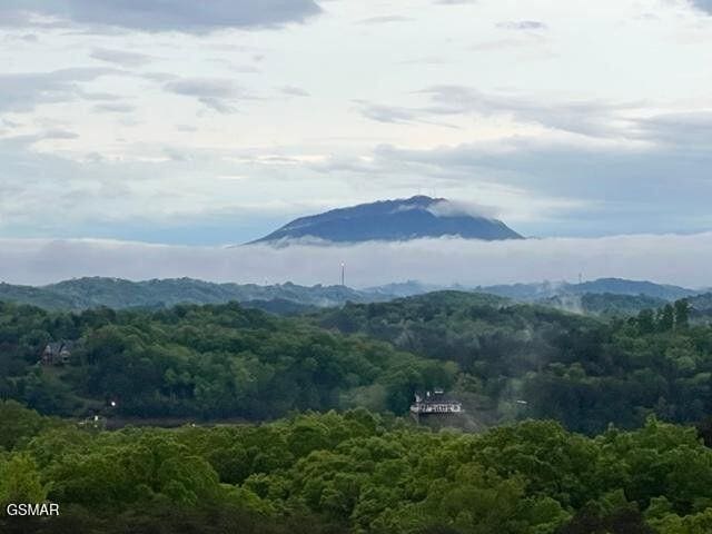 property view of mountains with a wooded view