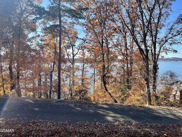 LOT1140 Lakefront Pl, Baneberry TN, 37890 land for sale