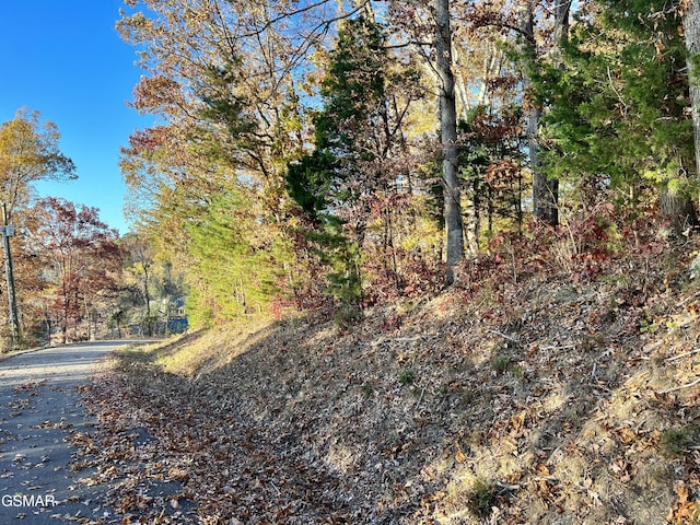 Listing photo 2 for LOT1140 Lakefront Pl, Baneberry TN 37890