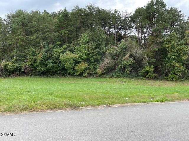 LOT26 Sierra Ln, Sevierville, TN 37862 - photo 6