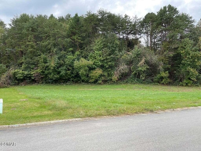 LOT26 Sierra Ln, Sevierville, TN 37862 - photo 7