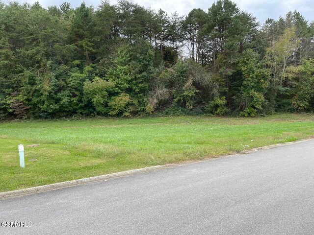 LOT26 Sierra Ln, Sevierville, TN 37862 - photo 4