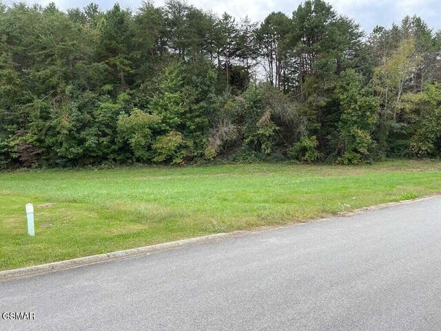 LOT26 Sierra Ln, Sevierville, TN 37862 - photo 8