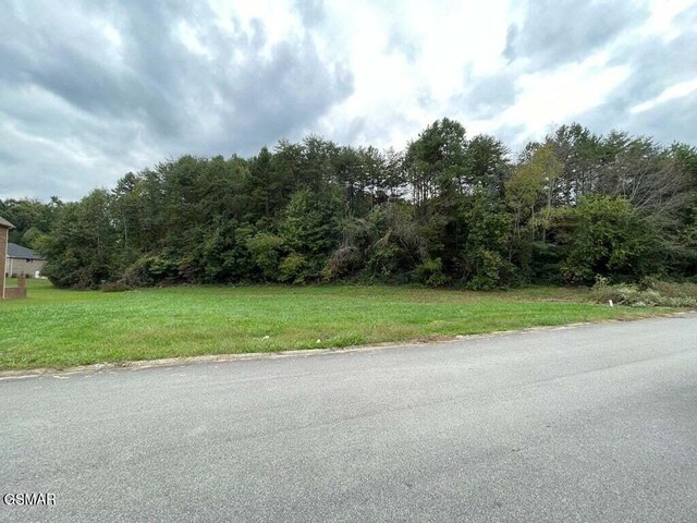 LOT26 Sierra Ln, Sevierville, TN 37862 - photo 5