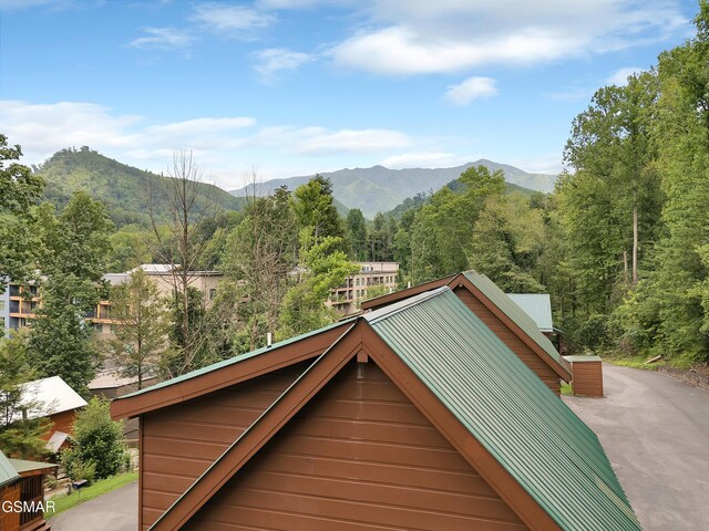 824 Eagle Cove Way, Gatlinburg, TN 37738 - photo 5