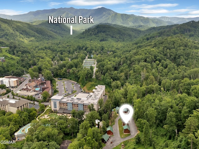 824 Eagle Cove Way, Gatlinburg, TN 37738 - photo 39
