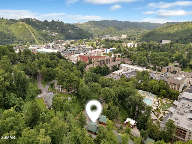 824 Eagle Cove Way, Gatlinburg, TN 37738 - photo 37