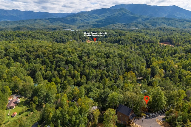 aerial view with a mountain view