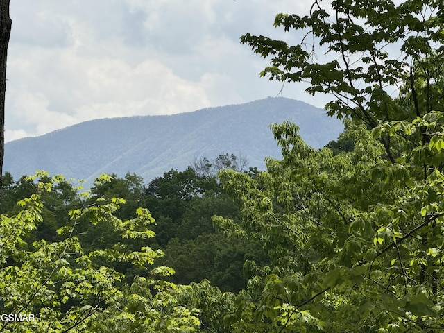 LOT80 Whetsone Rd, Sevierville, TN 37862 - photo 1