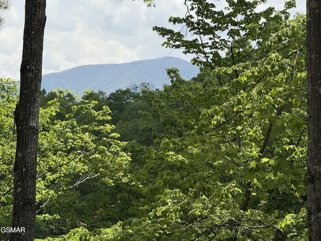 LOT80 Whetsone Rd, Sevierville, TN 37862 - photo 2