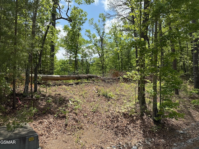 LOT80 Whetsone Rd, Sevierville, TN 37862 - photo 3