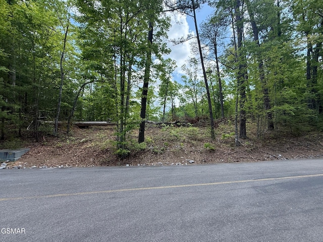 LOT80 Whetsone Rd, Sevierville, TN 37862 - photo 7