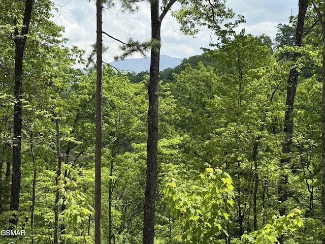 LOT80 Whetsone Rd, Sevierville, TN 37862 - photo 5