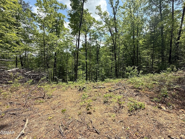 LOT80 Whetsone Rd, Sevierville, TN 37862 - photo 6