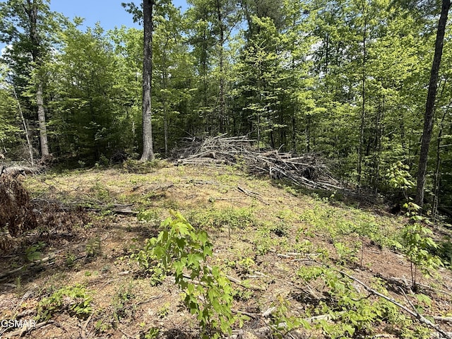 LOT80 Whetsone Rd, Sevierville, TN 37862 - photo 4