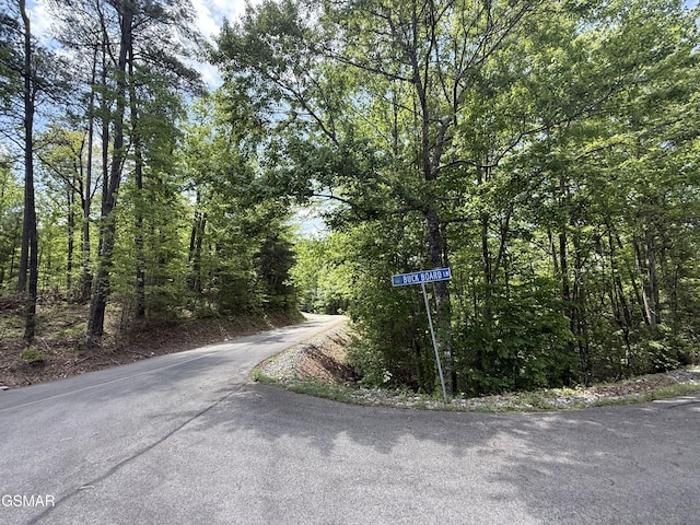 LOT80 Whetsone Rd, Sevierville, TN 37862