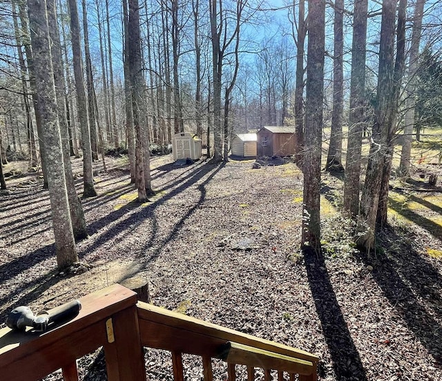 4955 Ledford Rd, Cosby, TN 37722 - view of yard with a storage unit and an outbuilding