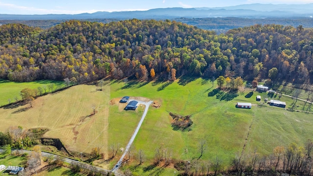 aerial view with a mountain view