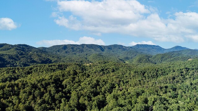 view of mountain feature