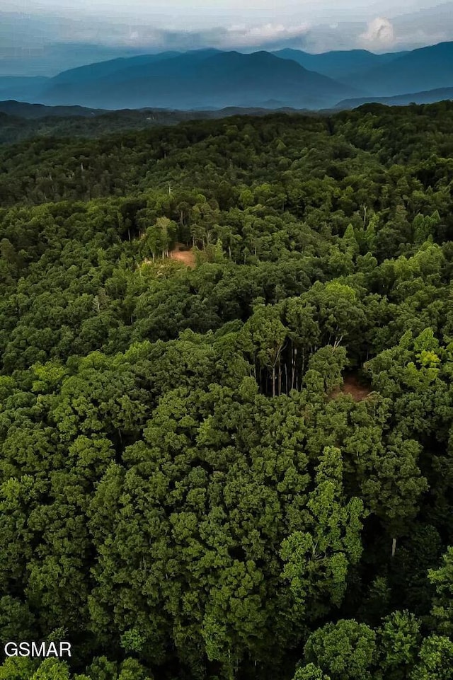 drone / aerial view featuring a mountain view