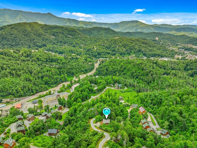 350 Pinnacle Dr, Gatlinburg, TN 37738 - photo 36