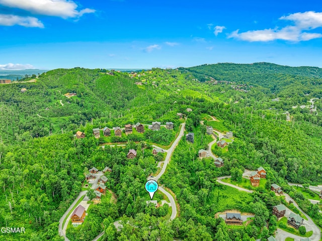 350 Pinnacle Dr, Gatlinburg, TN 37738 - photo 40