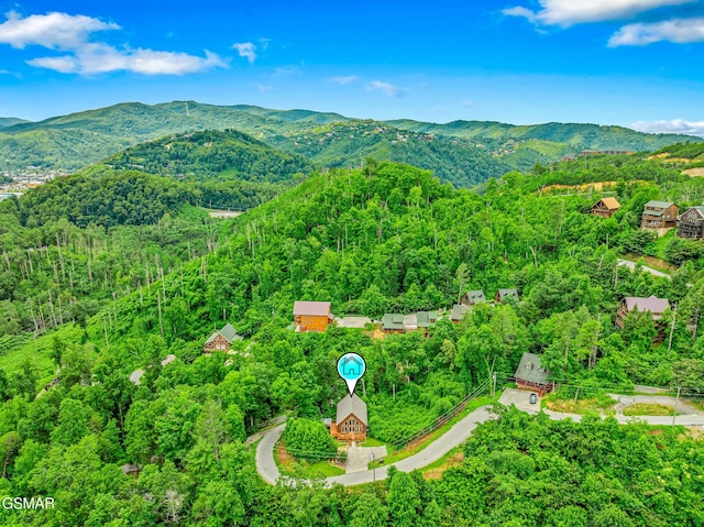 350 Pinnacle Dr, Gatlinburg, TN 37738 - photo 41