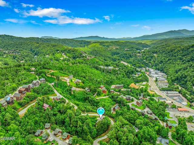 350 Pinnacle Dr, Gatlinburg, TN 37738 - photo 39