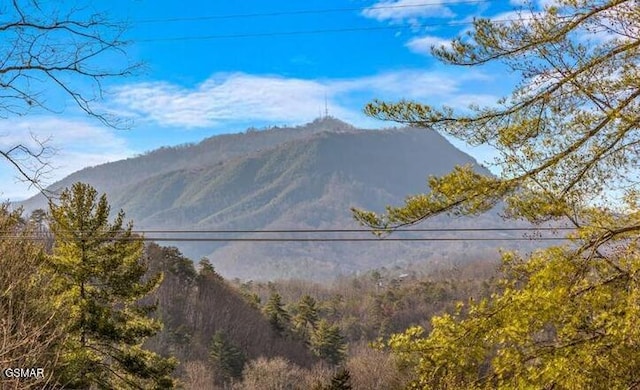 view of mountain feature