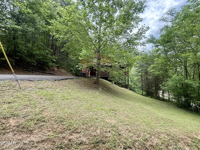 2575 Black Bear Ln, Sevierville, TN 37876 - view of yard featuring a wooded view